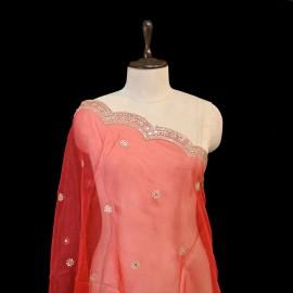 Buy Red Colour Organza Zari Mirror Sequins Embroidery Dupatta Online in Delhi