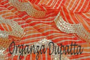 Buy Organza Dupatta Online in Delhi